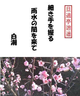 �U�ߒ�疗y�@�ׂ��������J���̈ł𗈂ā@����