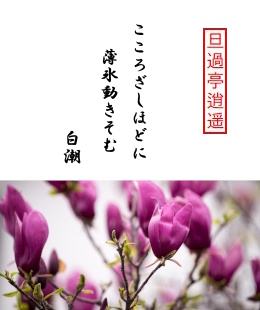 �U�ߒ�疗y�@�����내���قǂɔ��X�������ށ@����